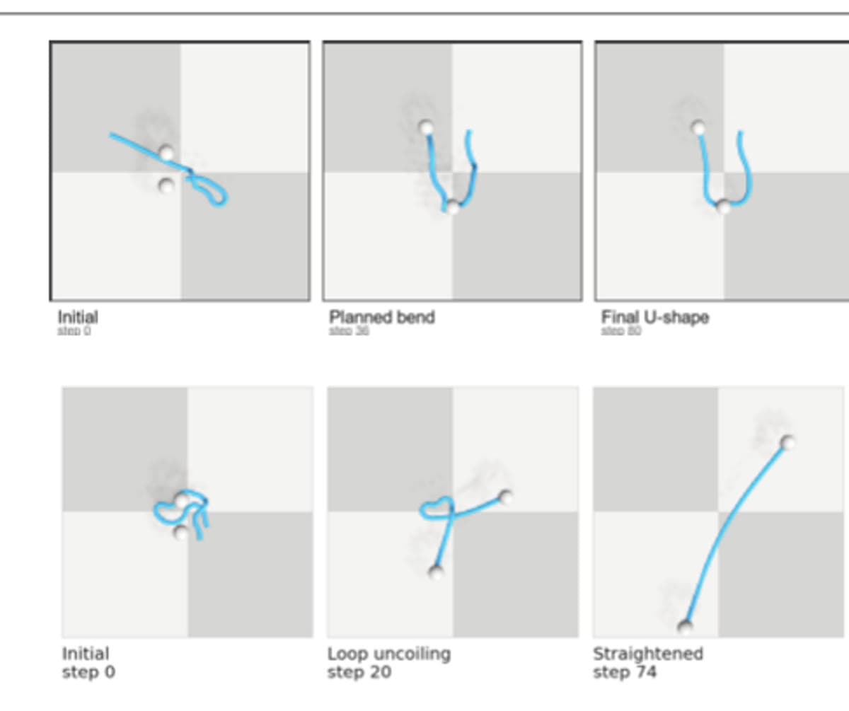 Rope manipulation rollouts from the latent world model: initial, planned, and final U-shape states